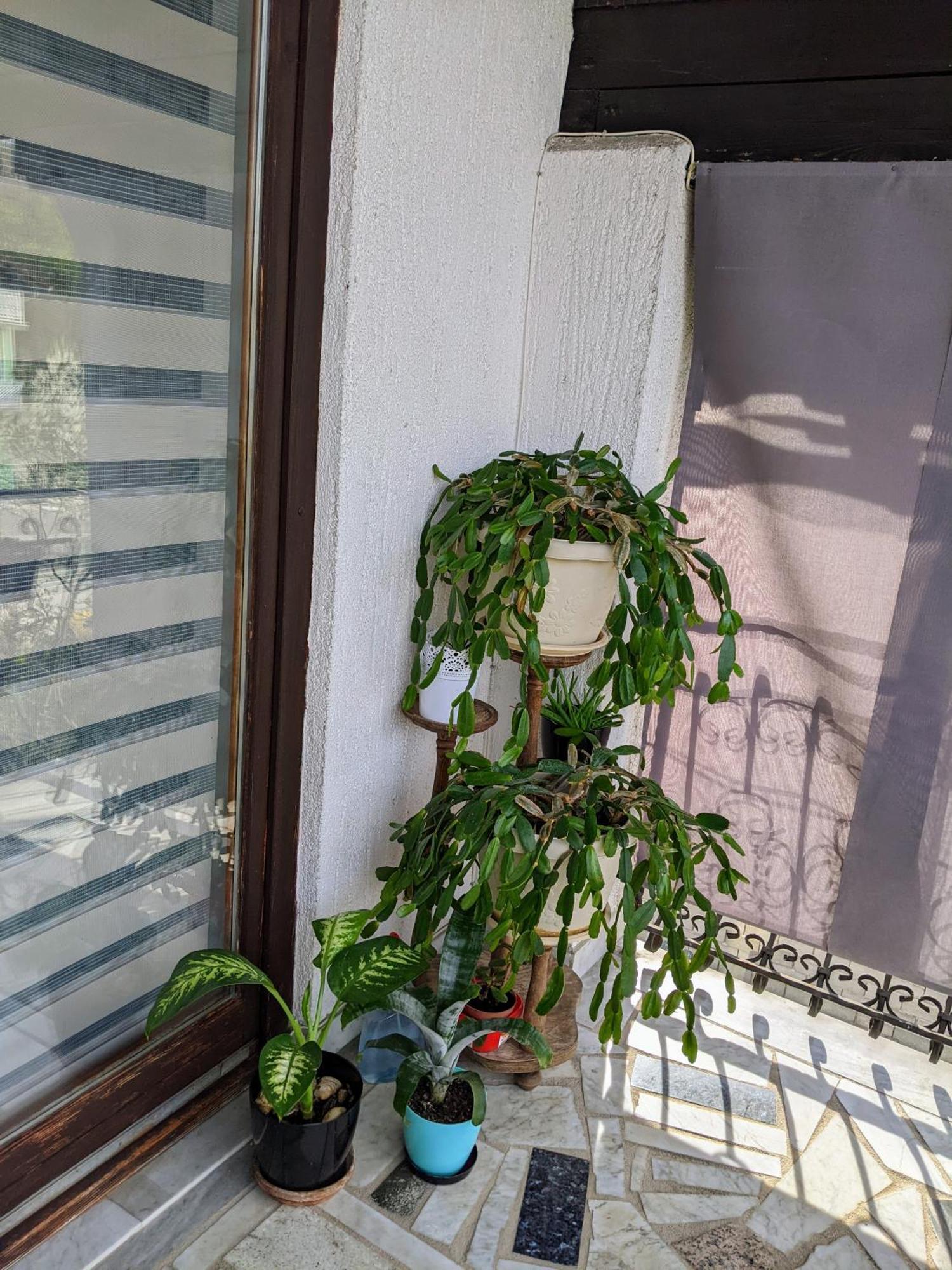 Apartmani Hrastik Bihać Værelse billede